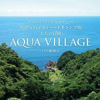 VILLAGE INC