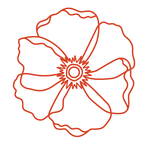 Poppy Flowers