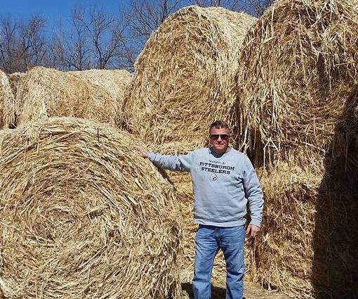 Old Dominion Hemp
