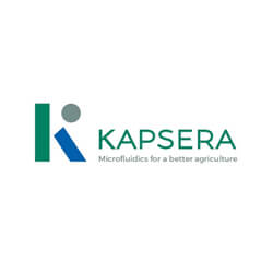 Kapsera