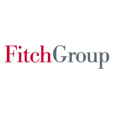 Fitch Group, Inc.