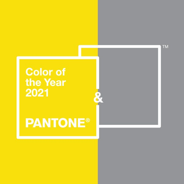 Pantone Color, Chips & Color Guides
