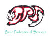 Bear Professional Services