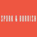 Spark & Burnish Architectural Hardware