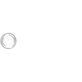 White Whale