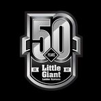 Little Giant Ladders