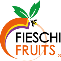 Fieschi Fruits