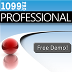 1099 Pro
