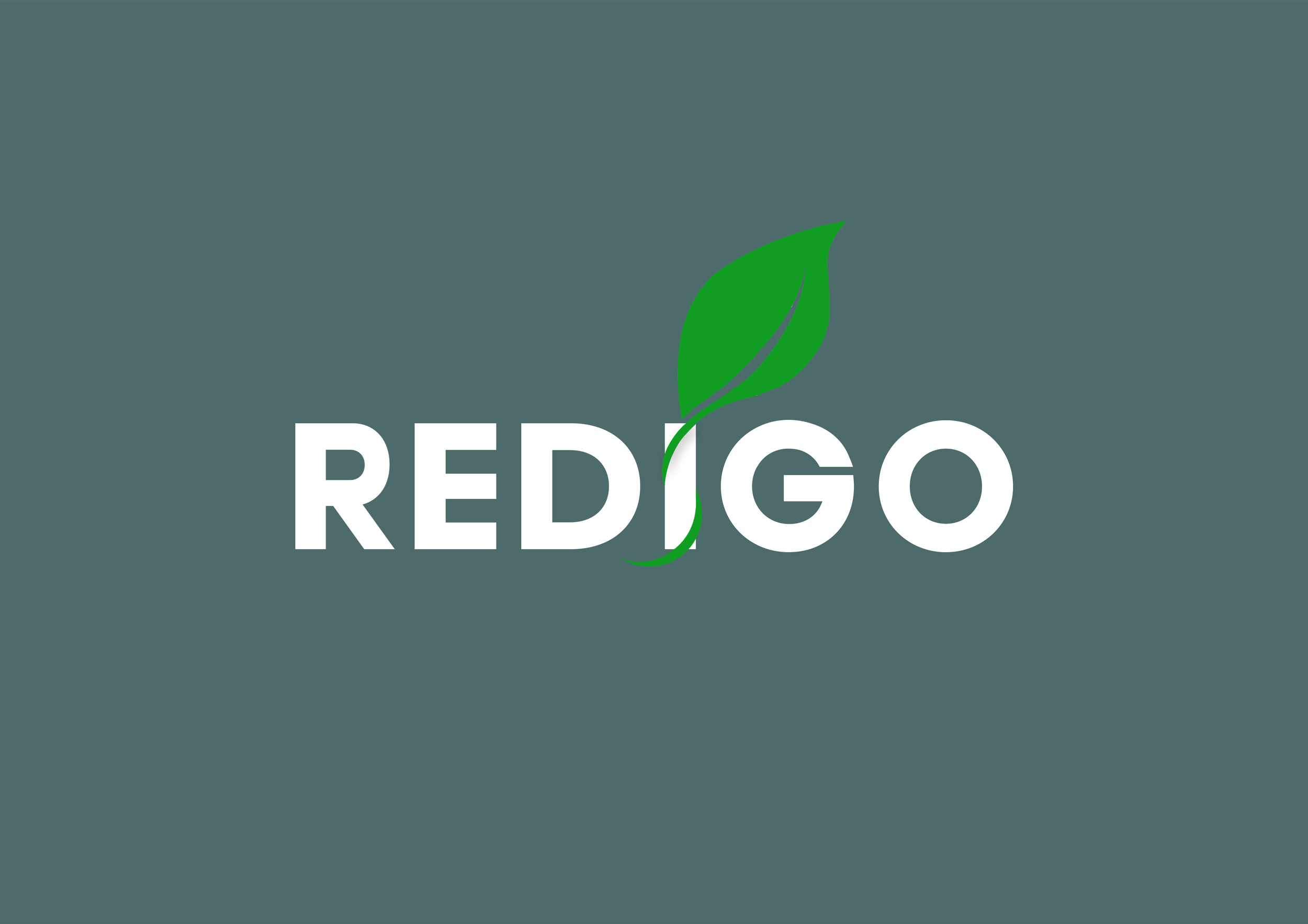 Redigo Carbon