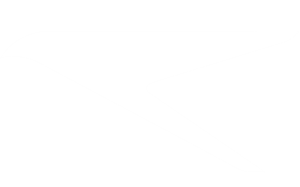 Raven Resonance