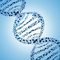 InnoGenomics Technologies