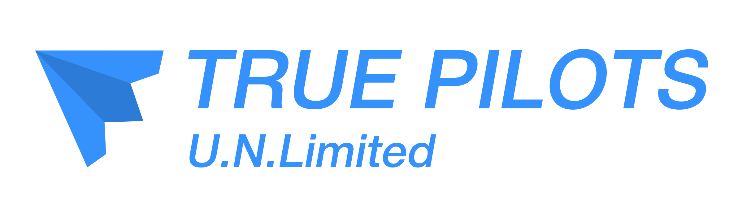 True Pilots