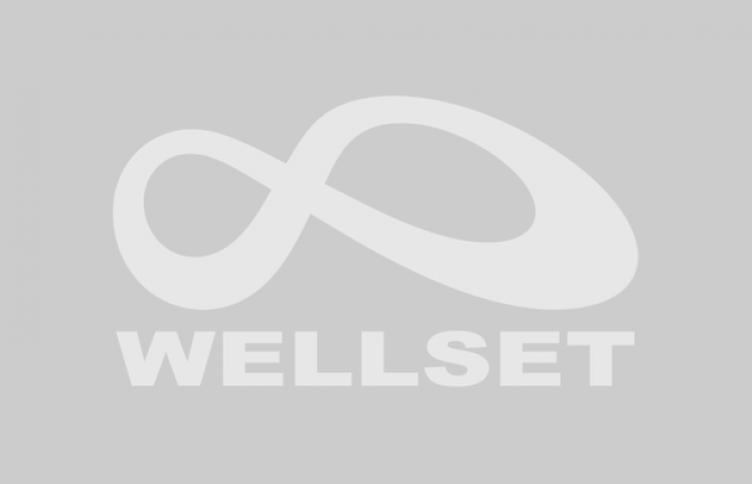 Wellset
