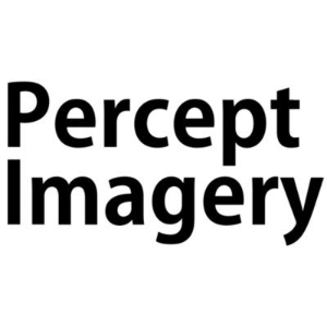 Percept Imagery