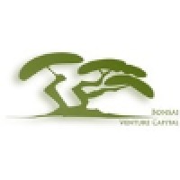 Bonsai Venture Capital