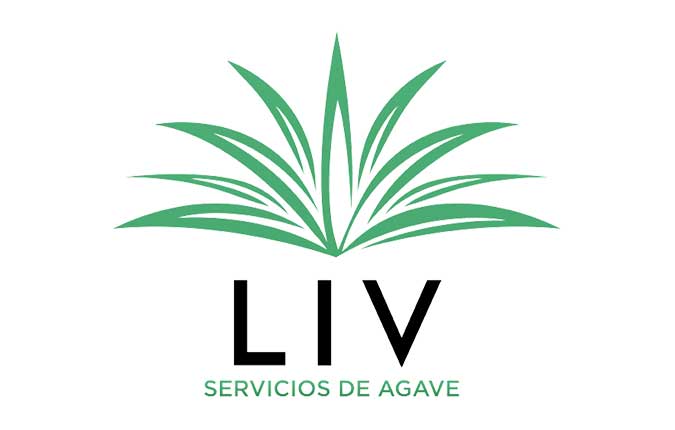 LIVE AGAVE SERVICES