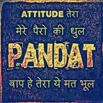 Pandat