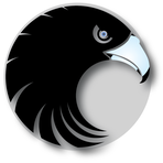 Eagle Eye Testing Ltd