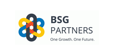 BSG Partners