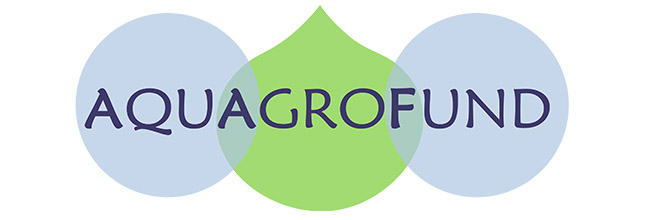 AAF Group