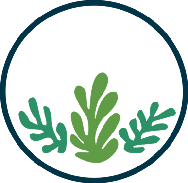 ORI Capital