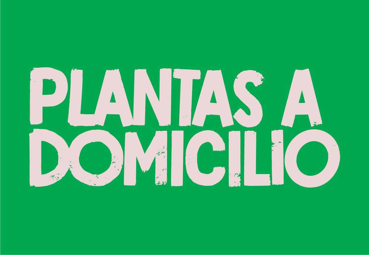 Plantas a Domicilio México