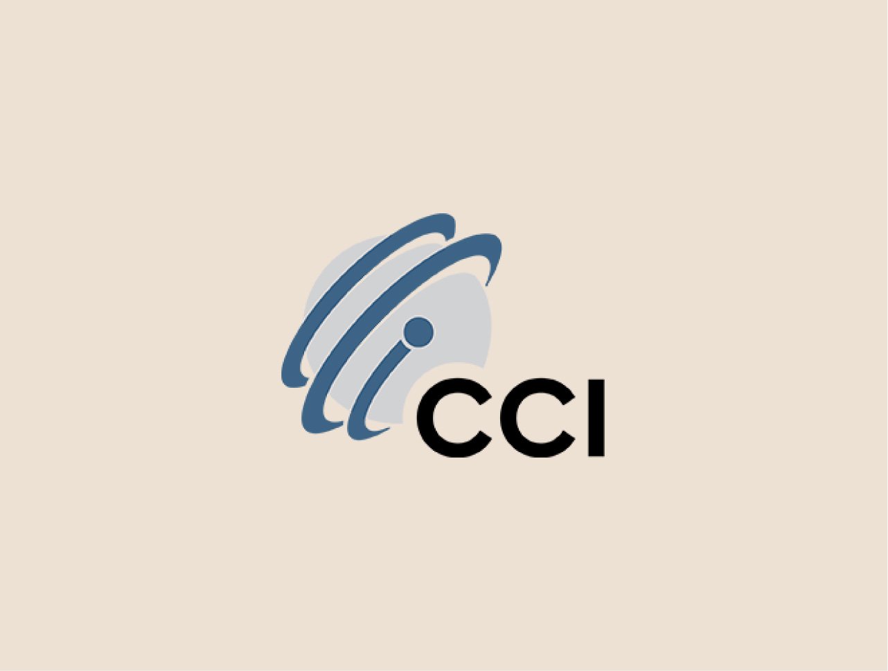 CCI Network Services