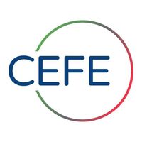 CEFE International