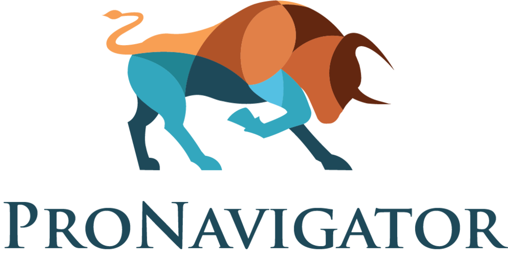 PRONAVIGATOR