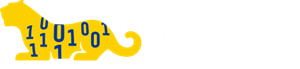 QAX