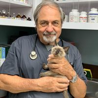 Jacaranda Animal Hospital, Davie, Florida
