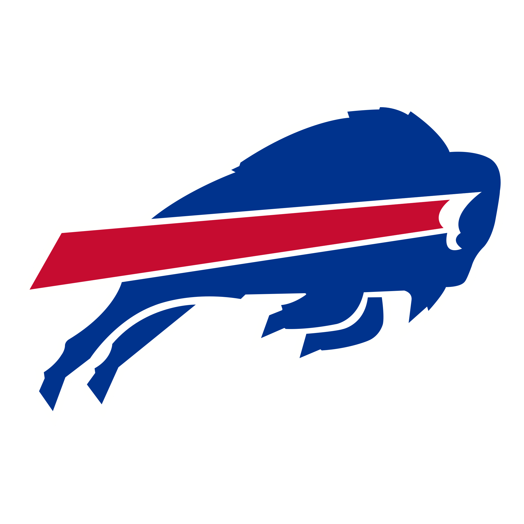 Buffalo Bills Home