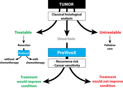 ProVivox