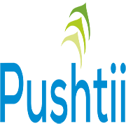 Pushtii Web and IT Solutions Pvt. Ltd.