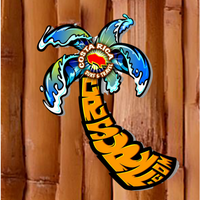 CR Surf Travel Company