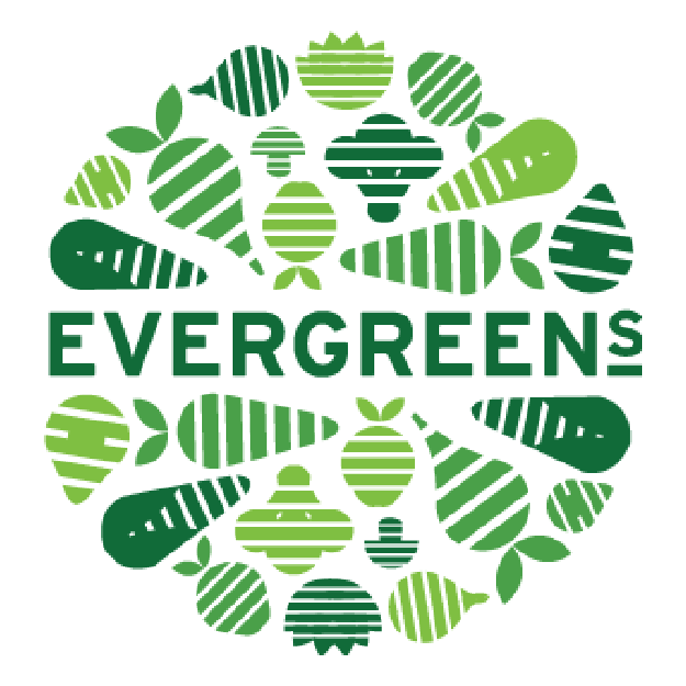 Evergreen Salads