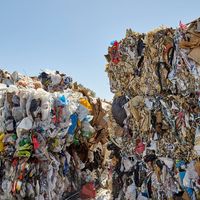 Cajun Composting