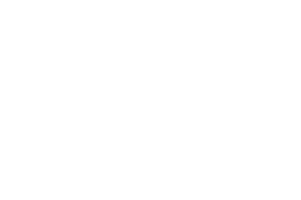 Twine Solutions Ltd.
