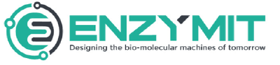 ENZYMIT