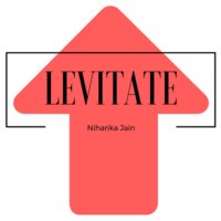 Levitate Consultancy