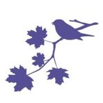 Berkeley Home Health