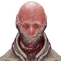 Scorn