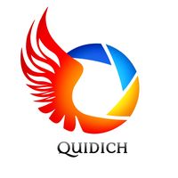 Quidich
