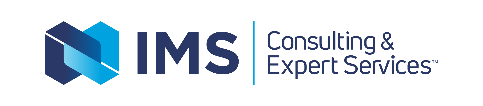 IMS Consulting & Expert Services