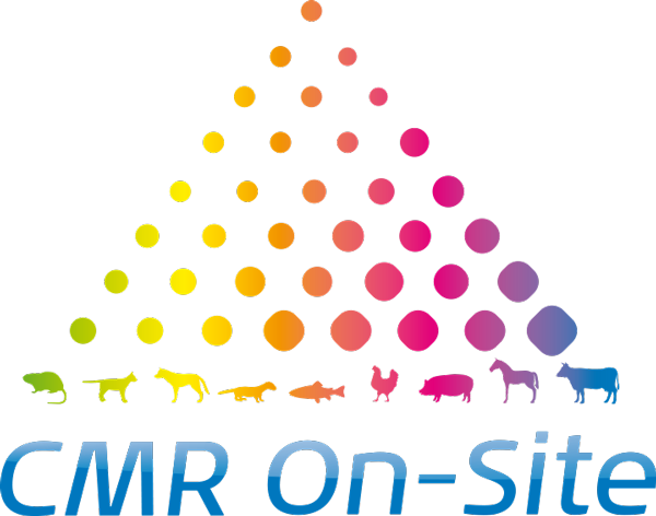 CMR ON-SITE RD