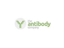 The Antibody Company