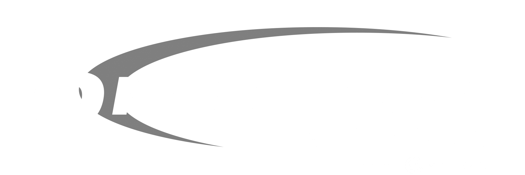 Onstream Pipeline Inspection Services
