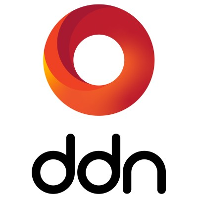 DDN Storage