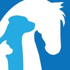 The Veterinary Care Foundation