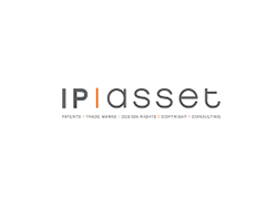 IP Asset LLP